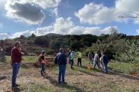 Η Ομάδα Διαχείρισης Έργου επιβλέπει τις απαραίτητες προπαρασκευαστικές εργασίες για τη μεταφύτευση των δέντρων.