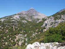 Δελτίο τύπου 14.08.2020