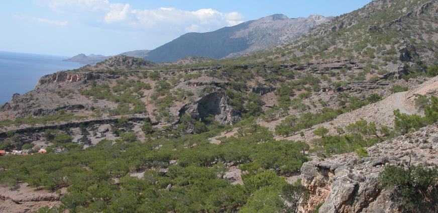 Δελτίο τύπου 29-01-2020