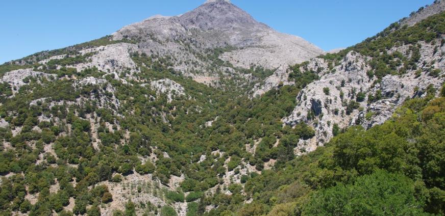 Δελτίο τύπου 14.08.2020