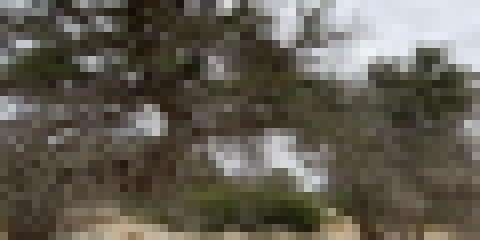 Απαντήσεις Νήσος Χρυσή